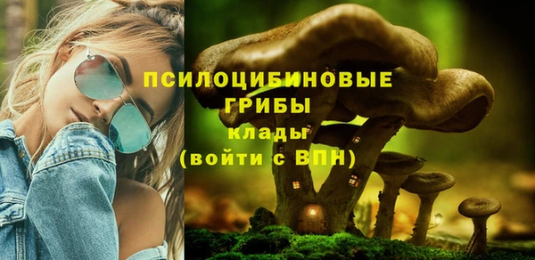 гашик Осташков